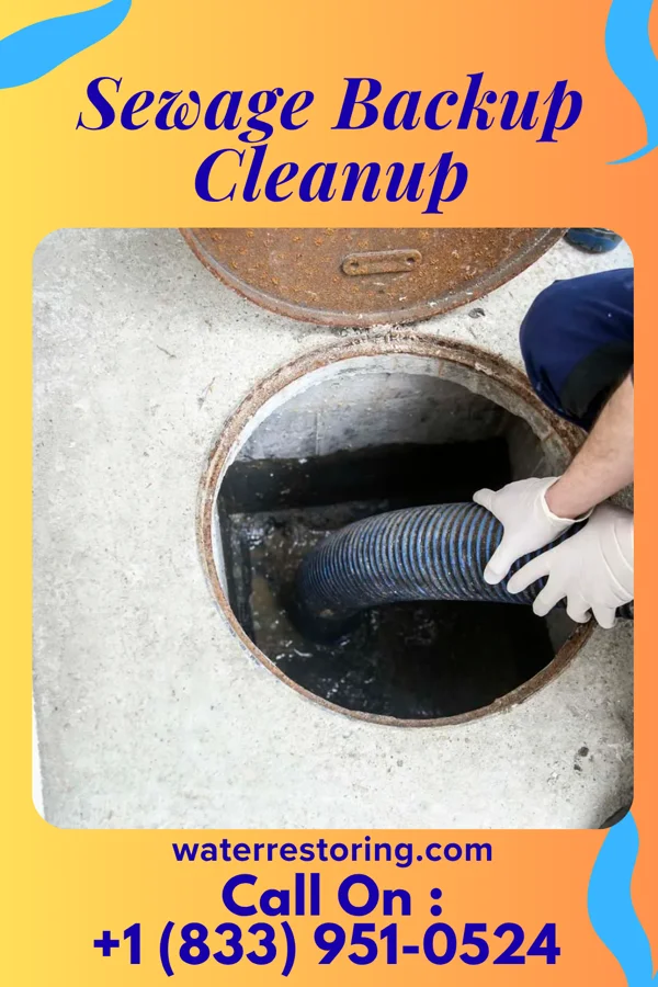 Sewage Backup Cleanup in Ames, KS