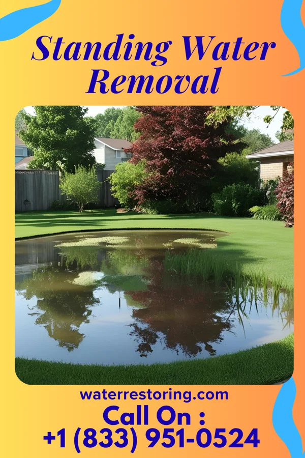Standing Water Removal in Ames, KS